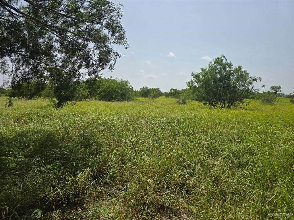 https://bt-photos.global.ssl.fastly.net/mcallen/orig_boomver_1_507850-2.jpg