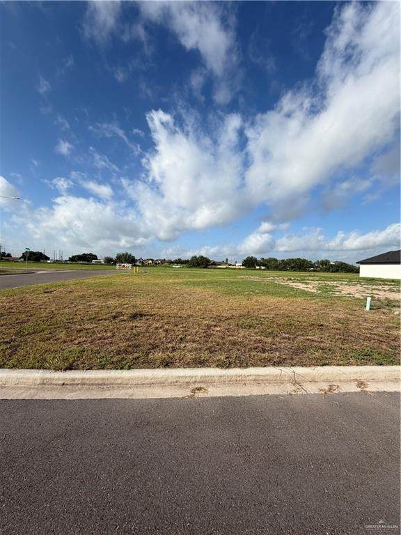1527 Foxtail - Photo 1