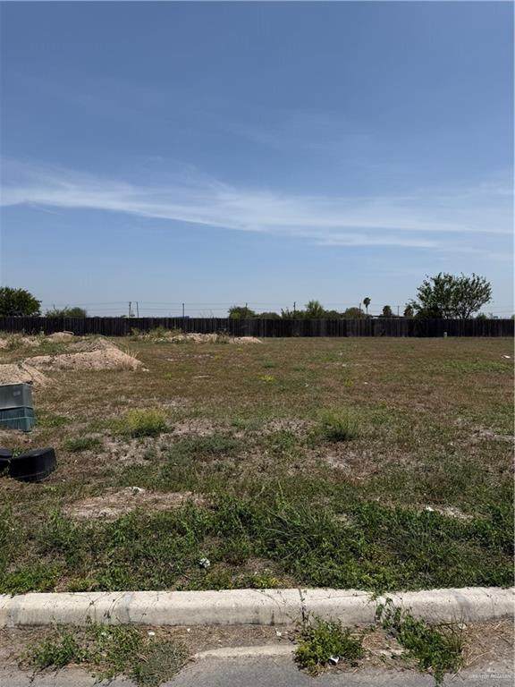 3105 Zarzamora - Photo 1