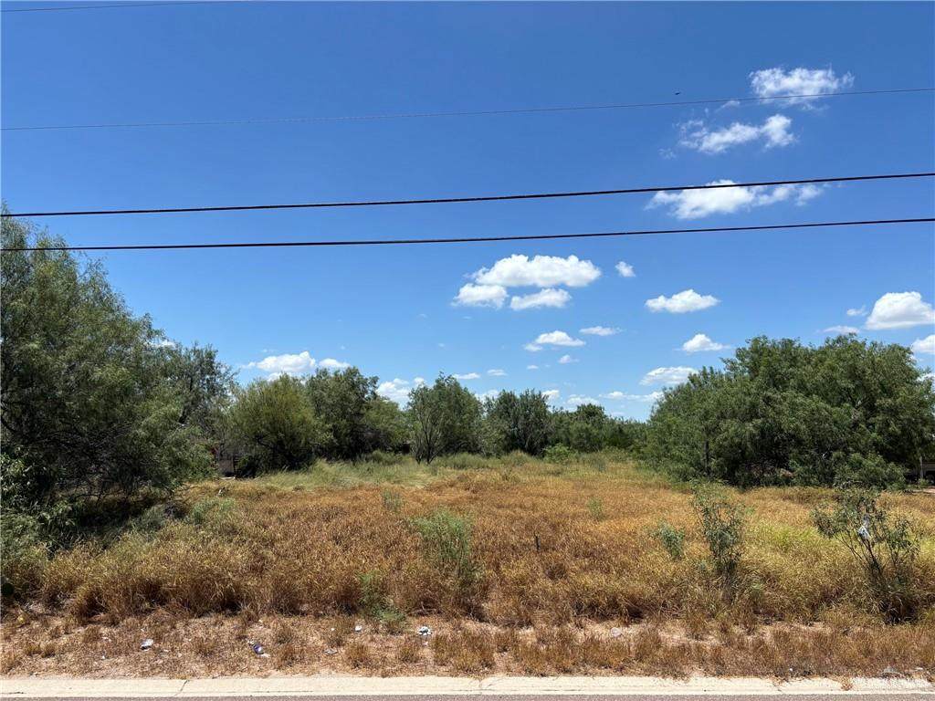 310 Amarillo - Photo 1