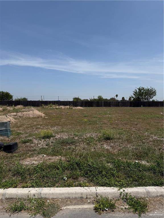 3107 Zarzamora - Photo 1