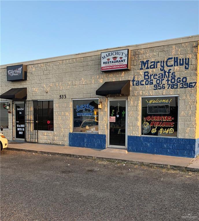 533 Business 83 Highway - Photo 1