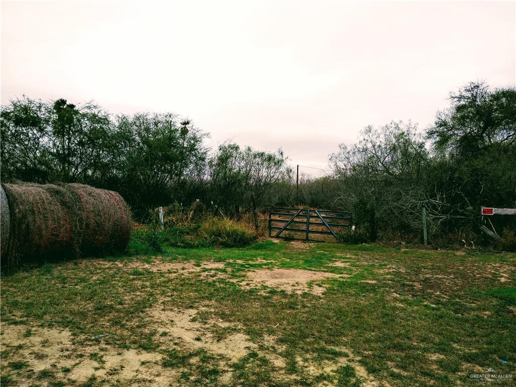 0 Fm 493 Highway - Photo 1