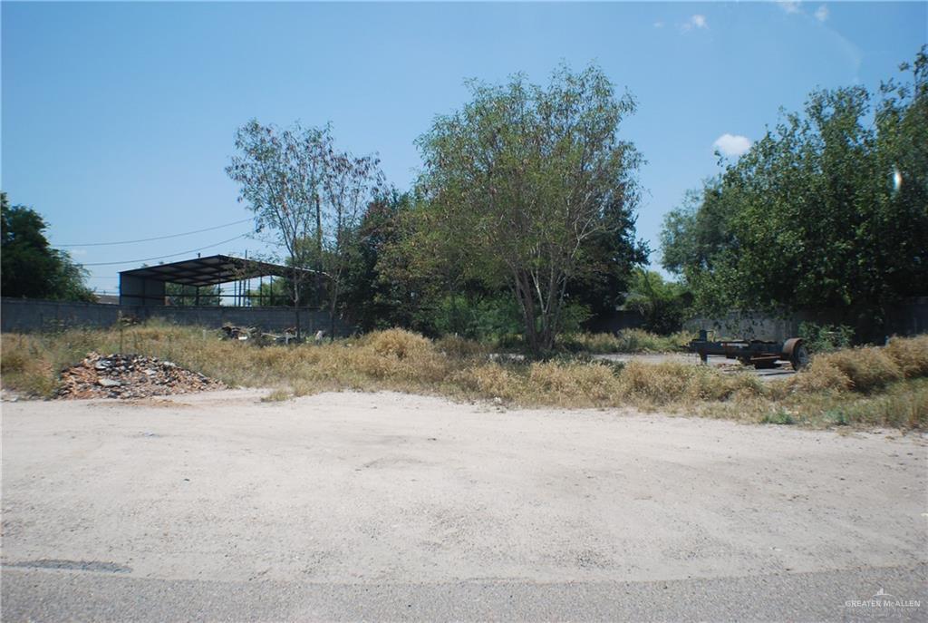 00 Huisache - Photo 1