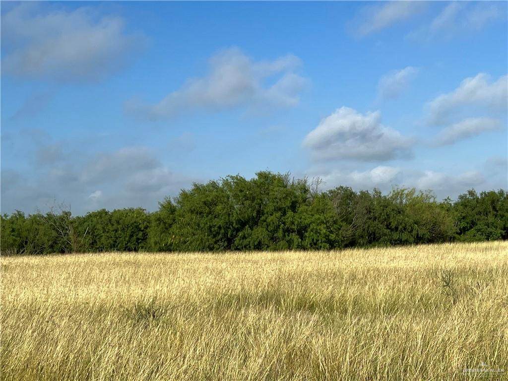9 1/4 mi Inspiration - Photo 1