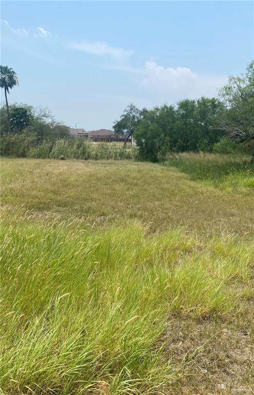 409 Kika De La Garza - Photo 1