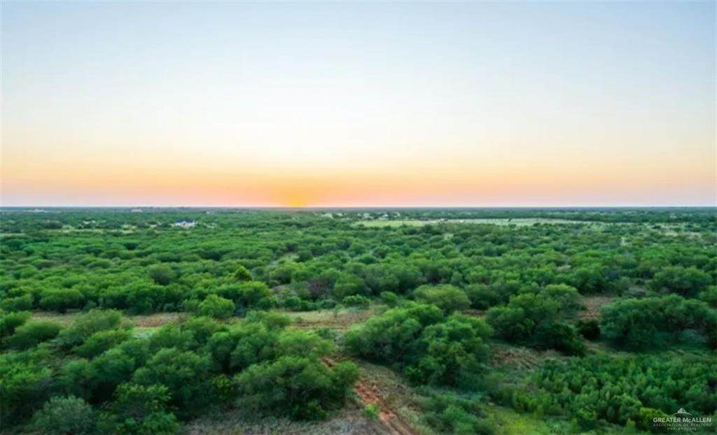 https://bt-photos.global.ssl.fastly.net/mcallen/orig_boomver_2_483539-2.jpg