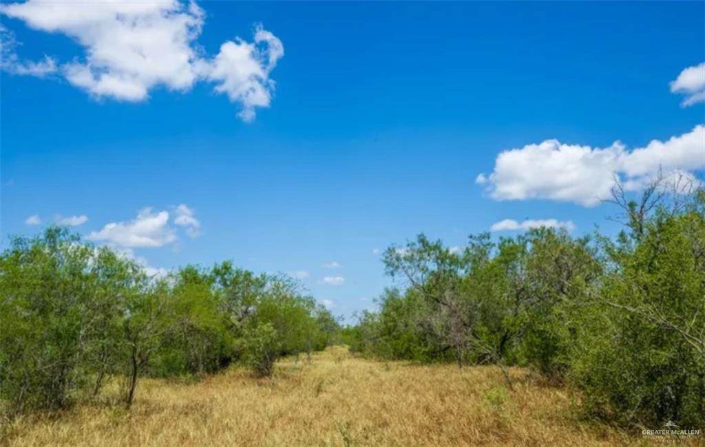 https://bt-photos.global.ssl.fastly.net/mcallen/orig_boomver_2_483539-2.jpg