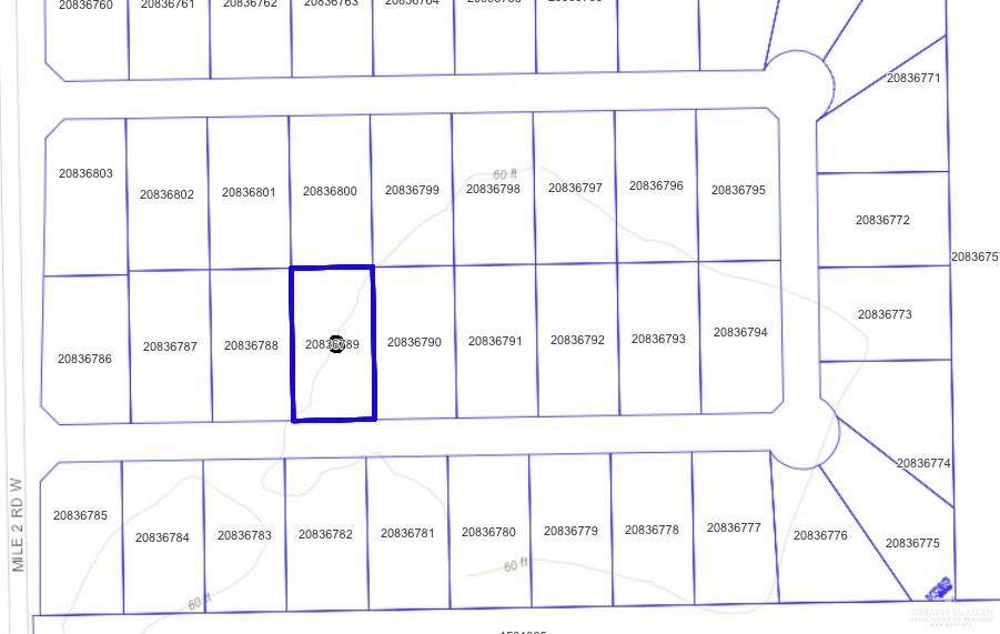 0000 Lupita - Photo 1