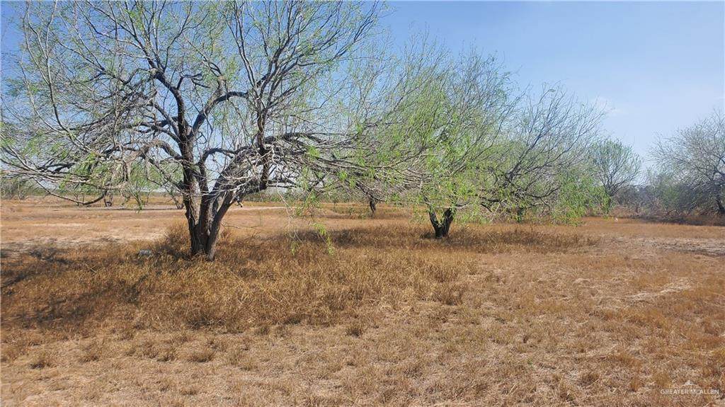 https://bt-photos.global.ssl.fastly.net/mcallen/orig_boomver_2_497438-2.jpg
