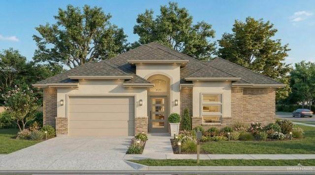 2401 Brown Pelican - Photo 1