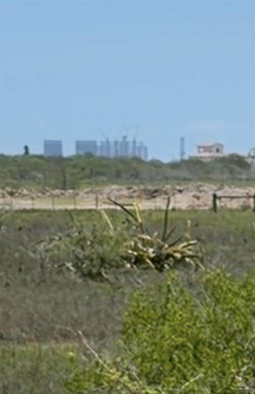 42686 Palmito Hill - Photo 1