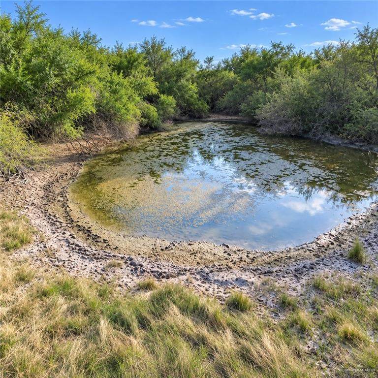 https://bt-photos.global.ssl.fastly.net/mcallen/orig_boomver_2_514659-2.jpg