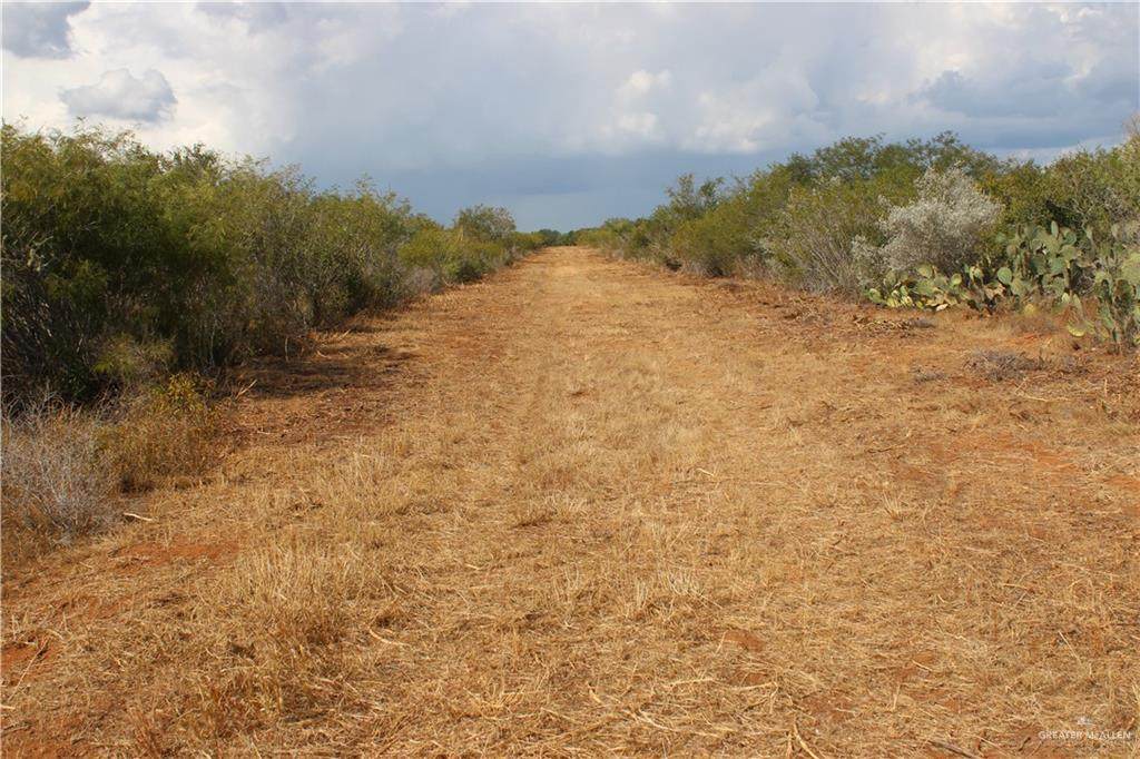 https://bt-photos.global.ssl.fastly.net/mcallen/orig_boomver_2_516280-2.jpg