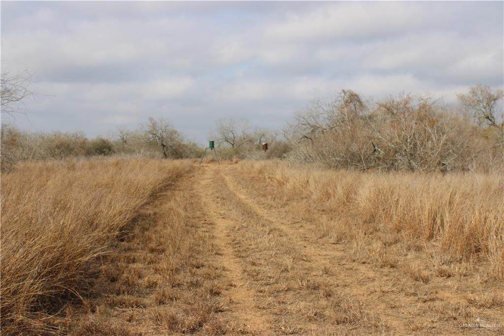 https://bt-photos.global.ssl.fastly.net/mcallen/orig_boomver_3_494232-2.jpg