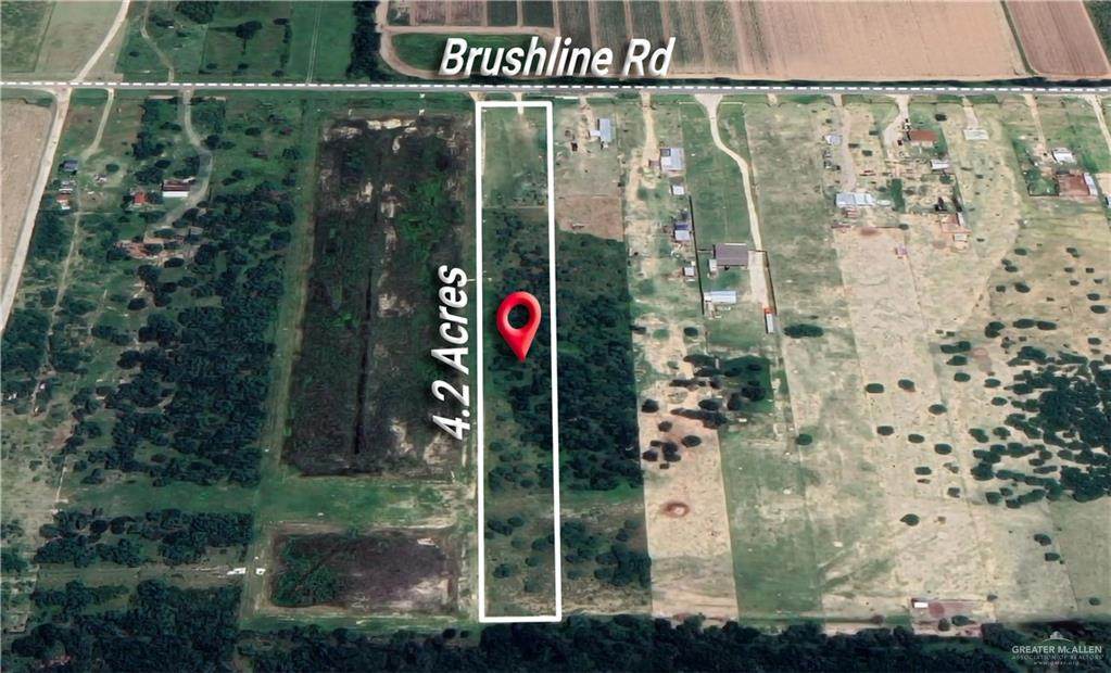 25638 Brushline - Photo 1