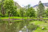 1590 Big Salmon River Road - Photo 32
