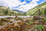 1590 Big Salmon River Road - Photo 47