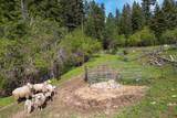 559 Kessler Creek Road - Photo 28