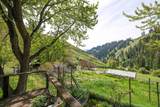 559 Kessler Creek Road - Photo 9