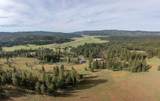 2597 Price Valley Road - Photo 11