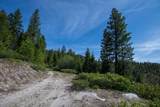 TBD 4 Warm Lake Road - Photo 7