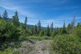 TBD 4 Warm Lake Road - Photo 8