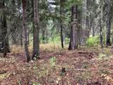1790 Lark Trail - Photo 1