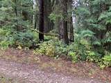 1790 Lark Trail - Photo 3