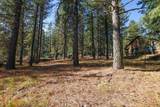 TBD Columbine Drive - Photo 14