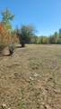 TBD Goodrich Creek Road - Photo 13
