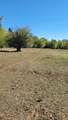 TBD Goodrich Creek Road - Photo 14