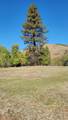 TBD Goodrich Creek Road - Photo 5