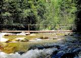3869 Big Salmon River Road - Photo 12