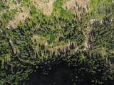 3869 Big Salmon River Road - Photo 38