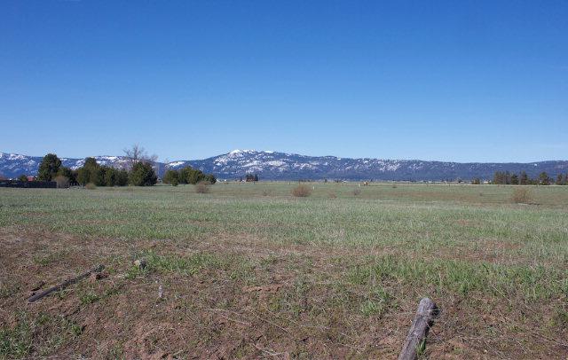 TBD Hwy 55 - Photo 1