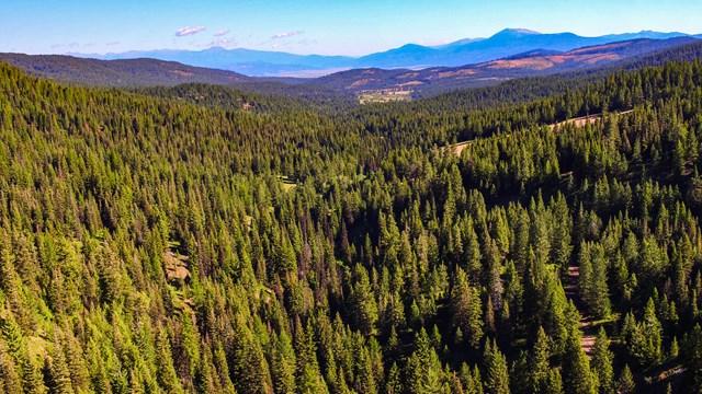 1 West Mountain Road - Photo 1