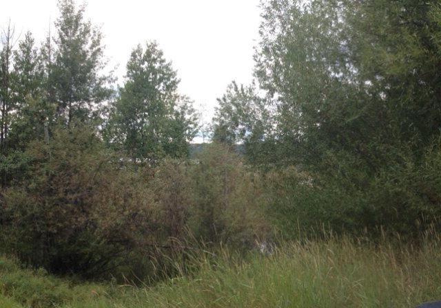 TBD Samson Trail - Photo 1