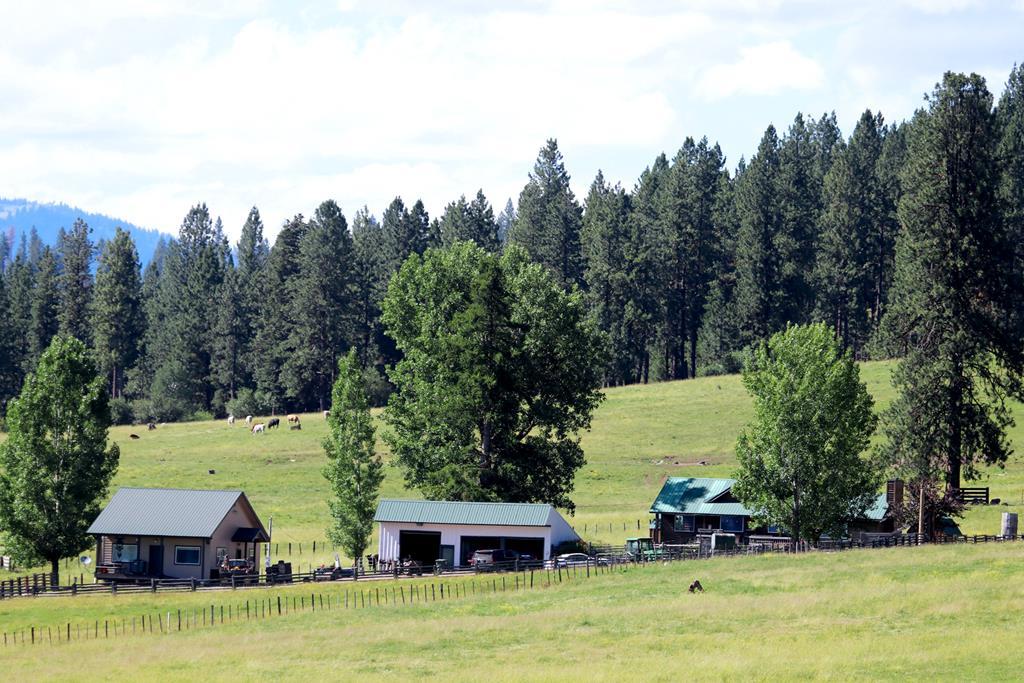 4220 Hwy 95 - Photo 1