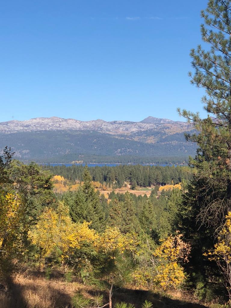 540 Osprey View Drive - Photo 1
