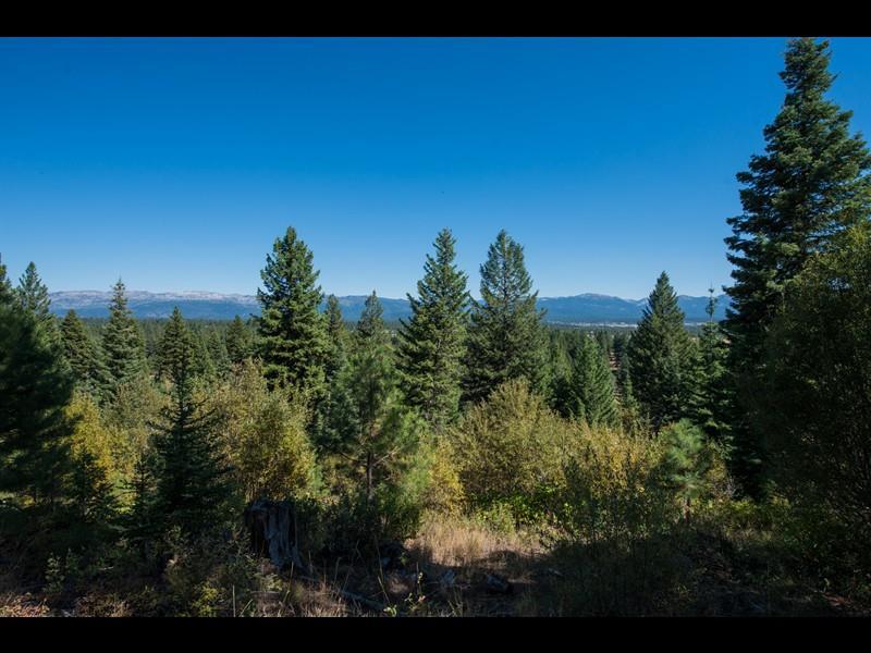 5513 Lupine Lane - Photo 1