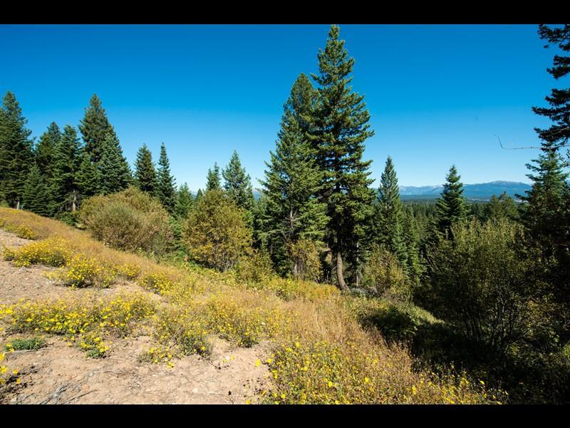 5509 Lupine Lane - Photo 1