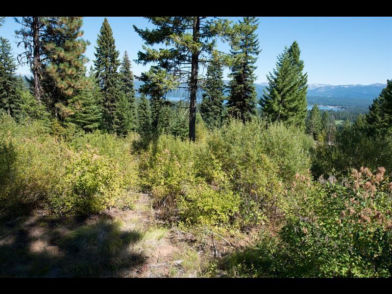 661 Migratory Ridge - Photo 1