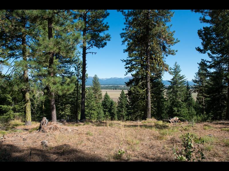 5603 Appaloosa Trail - Photo 1
