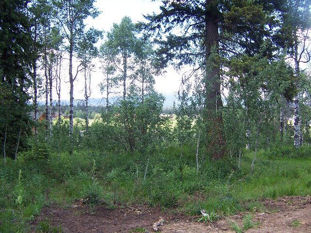 1361 Aspen Ridge Lane - Photo 1