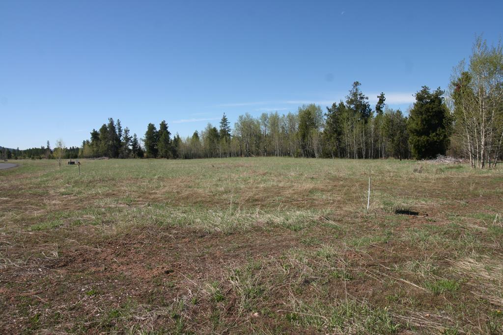 201 Jug Mountain Ranch Road - Photo 1