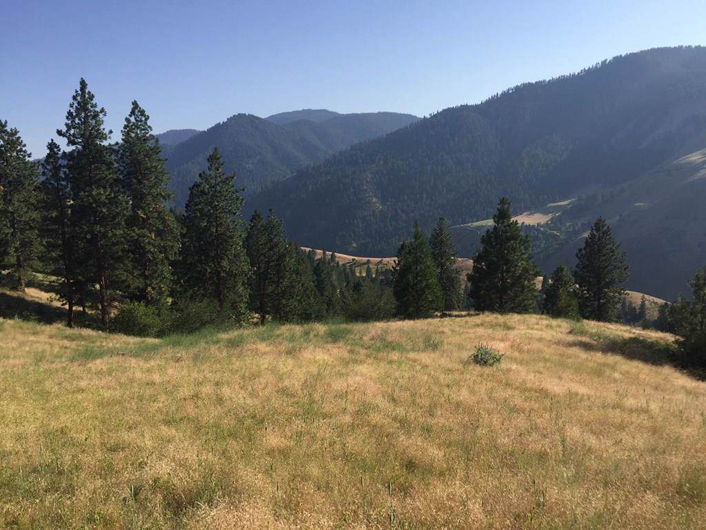 TBD Denny Creek Road - Photo 1