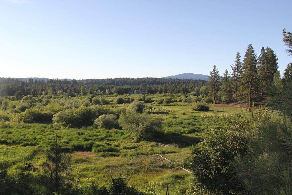 Lot 2 Saddle Court - Photo 1