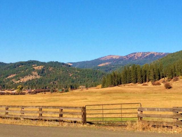 TBD Whitney Road - Photo 1