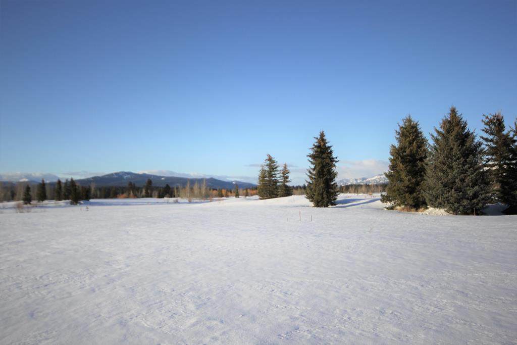 Lot 52 Rawhide Loop - Photo 1